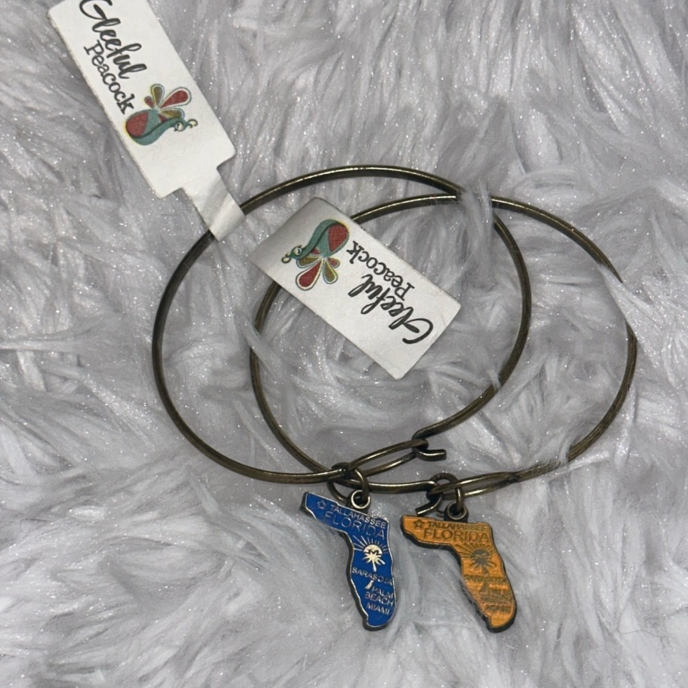 Hand Painted Charm Bracelet Lot of 2 Florida Yellow and Blue NWT Floridian NEW
